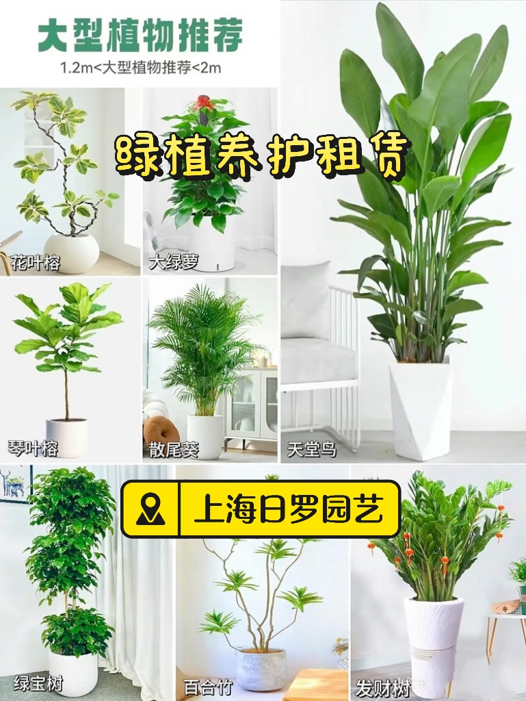 微信图片_20250426155815.jpg
