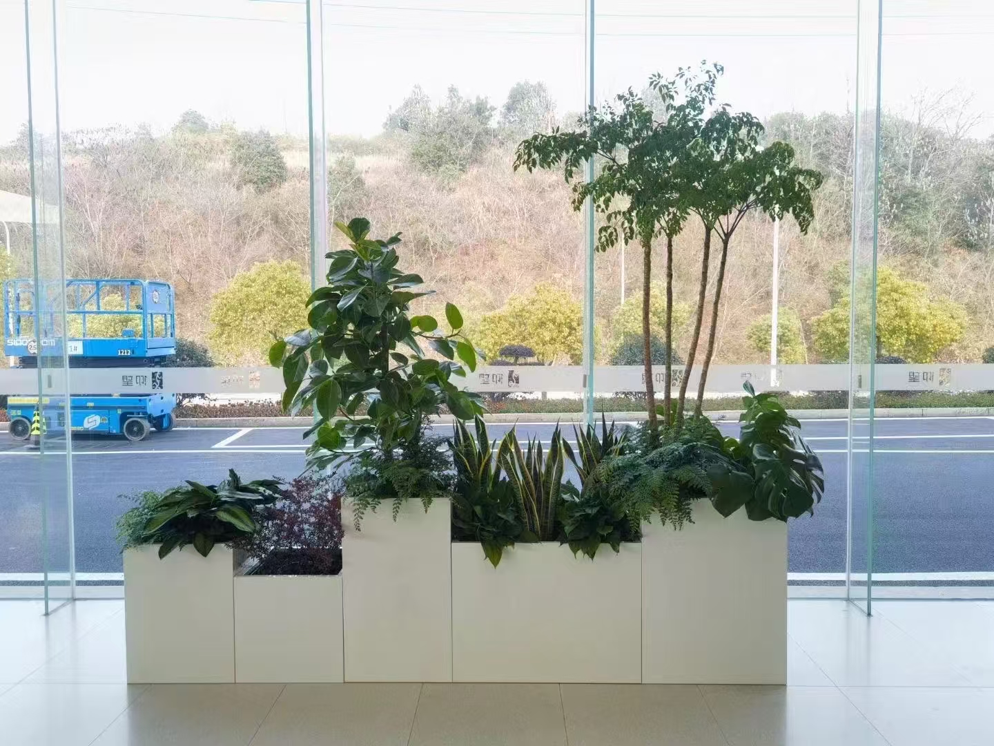 园林景观设计 园林景观设计