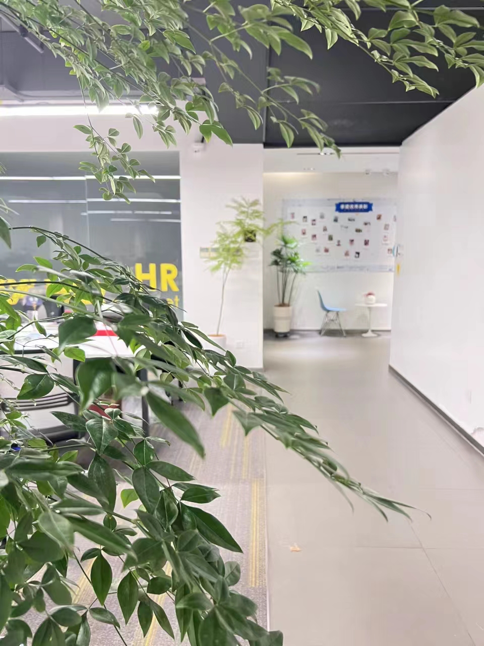 绿植租赁